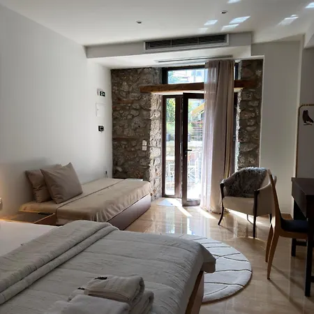Olympus Stone Appartement Litochoro